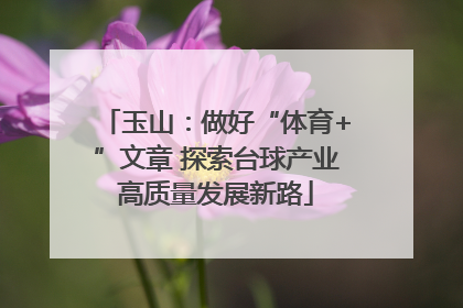 玉山：做好“体育+”文章 探索台球产业高质量发展新路