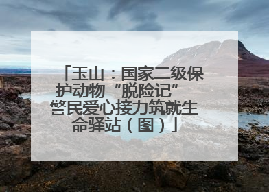 玉山：国家二级保护动物“脱险记” 警民爱心接力筑就生命驿站（图）