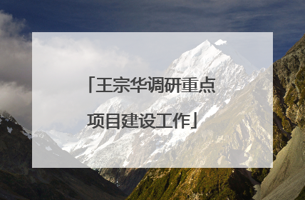 王宗华调研重点项目建设工作