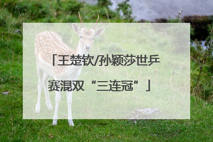 王楚钦/孙颖莎世乒赛混双“三连冠”
