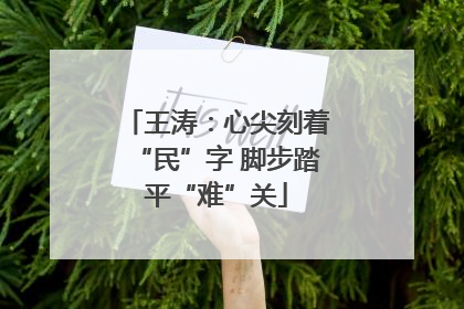 王涛：心尖刻着“民”字 脚步踏平“难”关