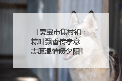 灵宝市焦村镇：粽叶飘香传孝意 志愿温情暖夕阳