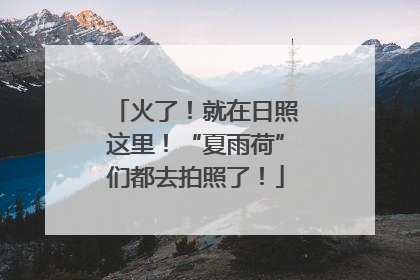 火了！就在日照这里！“夏雨荷”们都去拍照了！