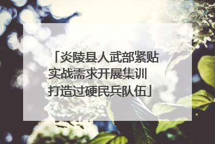 炎陵县人武部紧贴实战需求开展集训 打造过硬民兵队伍