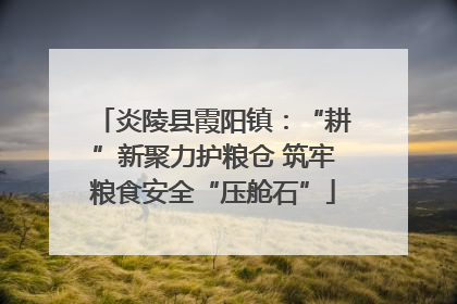 炎陵县霞阳镇：“耕”新聚力护粮仓 筑牢粮食安全“压舱石”