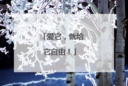爱它，就给它自由！