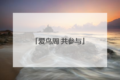 爱鸟周 共参与