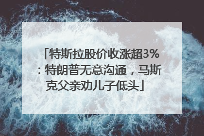 特斯拉股价收涨超3%：特朗普无意沟通，马斯克父亲劝儿子低头