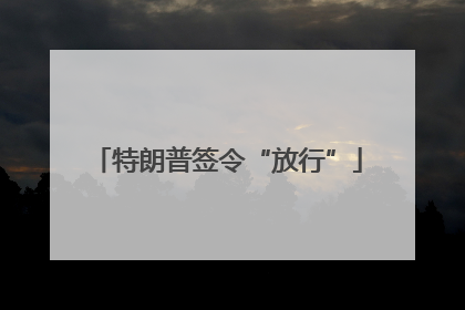 特朗普签令“放行”