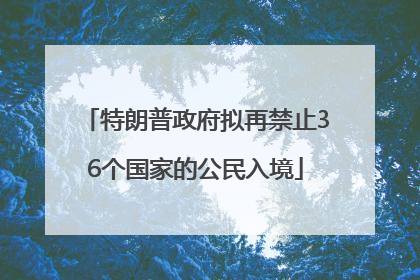 特朗普政府拟再禁止36个国家的公民入境