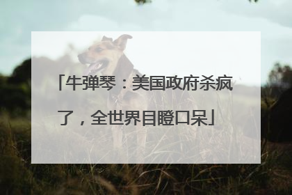 牛弹琴：美国政府杀疯了，全世界目瞪口呆