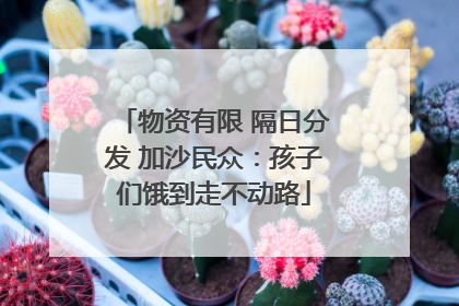物资有限 隔日分发 加沙民众：孩子们饿到走不动路