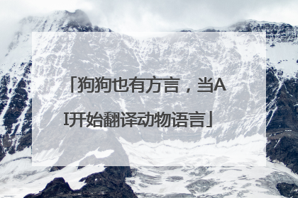 狗狗也有方言，当AI开始翻译动物语言