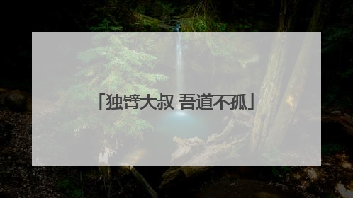 独臂大叔 吾道不孤