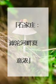 石家庄：滹沱河畔夏意浓