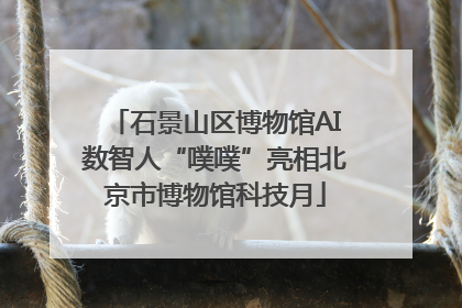 石景山区博物馆AI数智人“噗噗”亮相北京市博物馆科技月