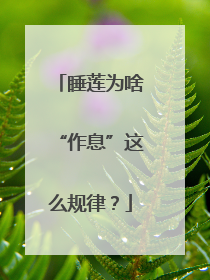 睡莲为啥“作息”这么规律？