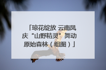琼花绽放 云南凤庆“山野精灵”舞动原始森林（组图）