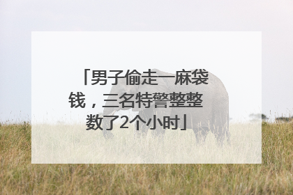 男子偷走一麻袋钱，三名特警整整数了2个小时