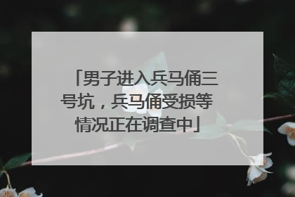 男子进入兵马俑三号坑，兵马俑受损等情况正在调查中