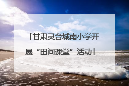甘肃灵台城南小学开展“田间课堂”活动