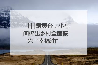 甘肃灵台：小车间榨出乡村全面振兴“幸福油”