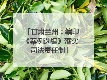 甘肃兰州：编印《案例选编》落实司法责任制