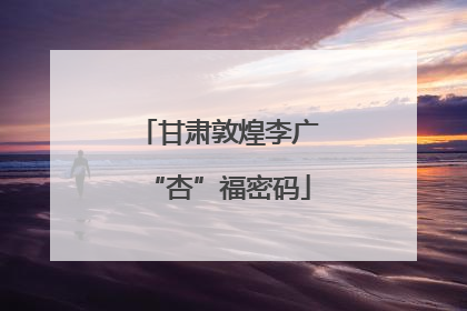 甘肃敦煌李广“杏”福密码