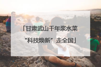 甘肃武山千年浆水菜“科技焕新”走全国