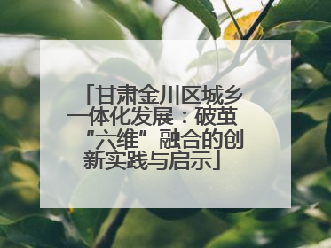 甘肃金川区城乡一体化发展：破茧“六维”融合的创新实践与启示