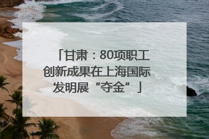 甘肃：80项职工创新成果在上海国际发明展“夺金”