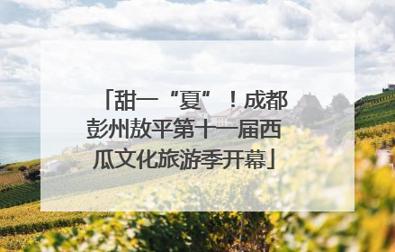 甜一“夏”！成都彭州敖平第十一届西瓜文化旅游季开幕