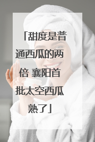 甜度是普通西瓜的两倍 襄阳首批太空西瓜熟了