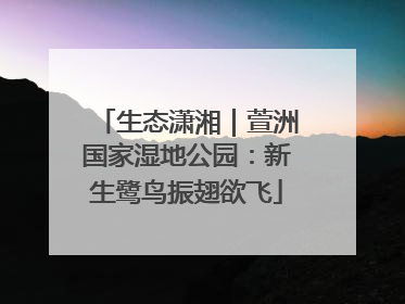 生态潇湘｜萱洲国家湿地公园：新生鹭鸟振翅欲飞