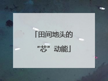 田间地头的“芯”动能