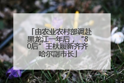 由农业农村部调赴黑龙江一年后，“80后”王杕履新齐齐哈尔副市长
