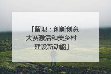 留坝：创新创意大赛激活和美乡村建设新动能