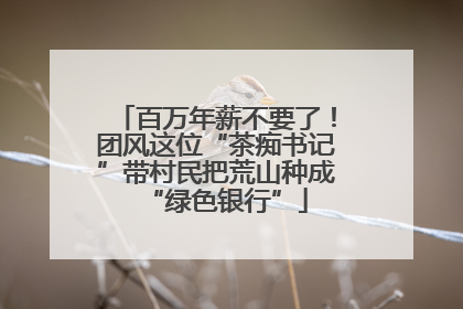 百万年薪不要了！团风这位“茶痴书记”带村民把荒山种成“绿色银行”