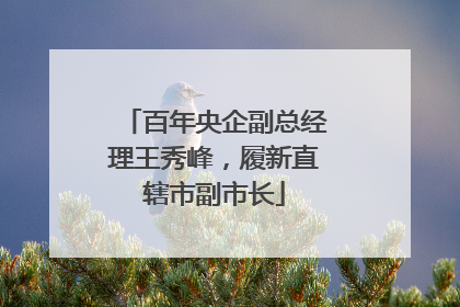 百年央企副总经理王秀峰，履新直辖市副市长