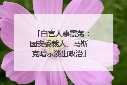 白宫人事震荡：国安委裁人、马斯克暗示淡出政治