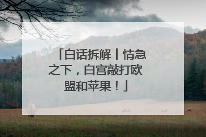 白话拆解丨情急之下，白宫敲打欧盟和苹果！