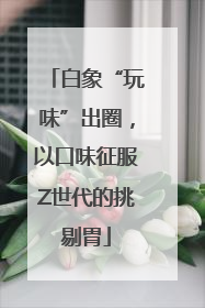 白象“玩味”出圈，以口味征服Z世代的挑剔胃