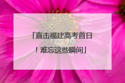 直击福建高考首日！难忘这些瞬间