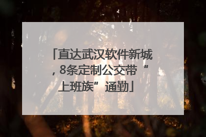直达武汉软件新城，8条定制公交带“上班族”通勤