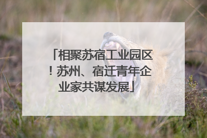 相聚苏宿工业园区！苏州、宿迁青年企业家共谋发展