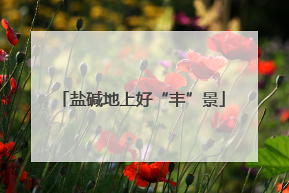 盐碱地上好“丰”景