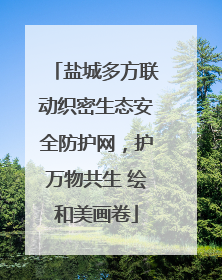 盐城多方联动织密生态安全防护网，护万物共生 绘和美画卷