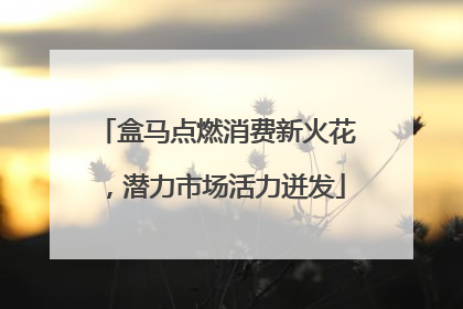 盒马点燃消费新火花，潜力市场活力迸发