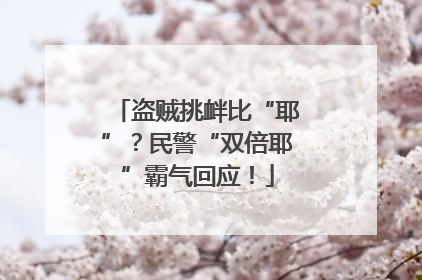 盗贼挑衅比“耶”？民警“双倍耶”霸气回应！