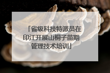省级科技特派员在印江开展山桐子苗期管理技术培训
